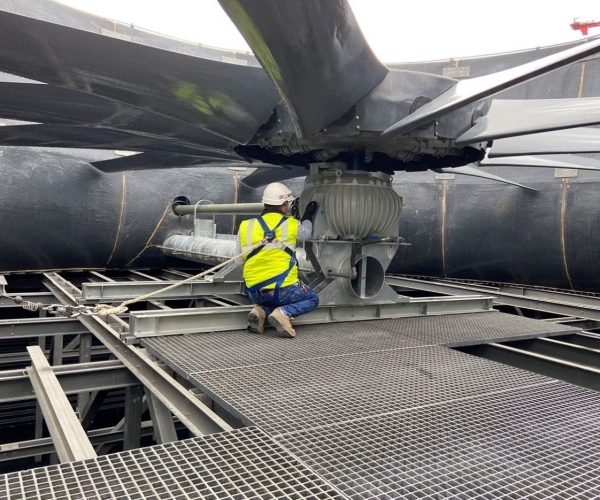 WhatsApp Image 2024-04-26 at 6.34.23 a. m. (1)